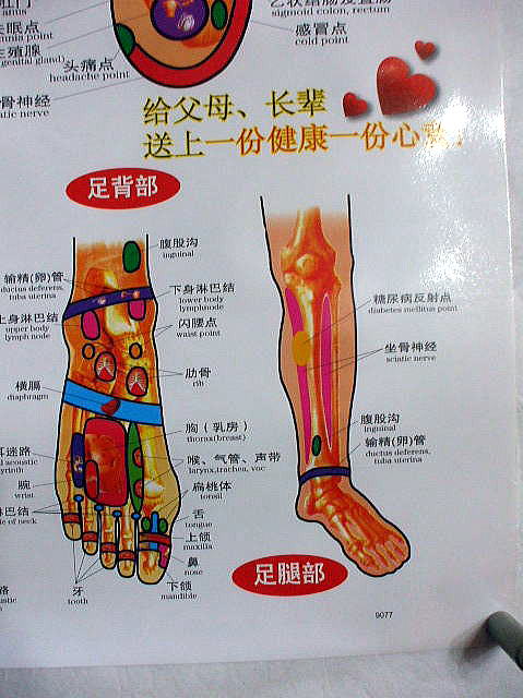 �����̔��ˋ�}