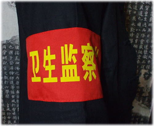 ���v����F�@�q���Ď@���̑���