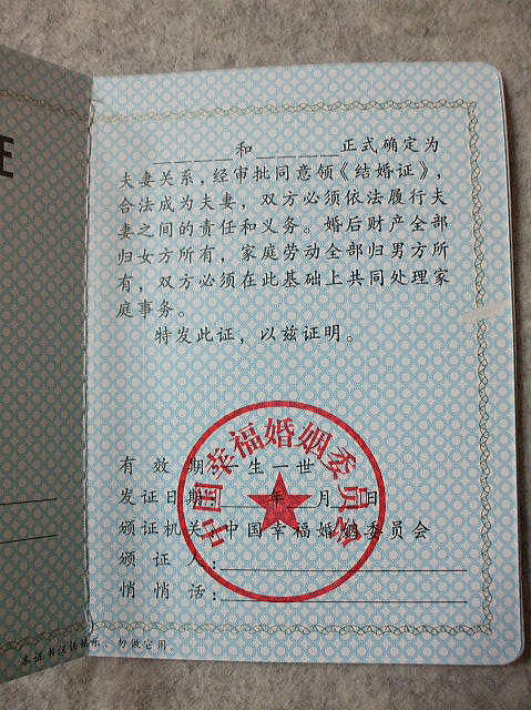 �����G�݁@�@��������O�b�Y�@�@�����ؖ���