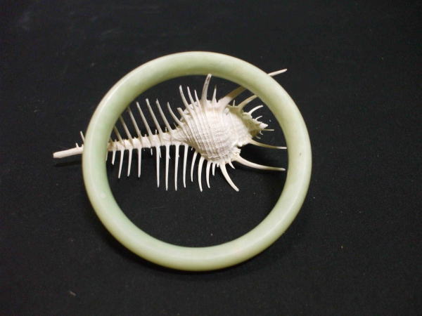 �ʐ΃u���X���b�g�@�@�@�����G��