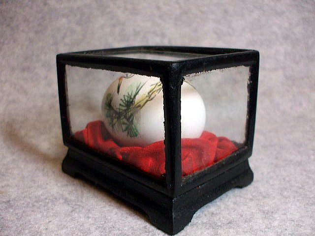 ���G�@�@�@�����G��