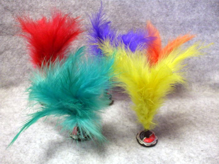 �����G�݁@�R�f�@�`�G���Y�@��